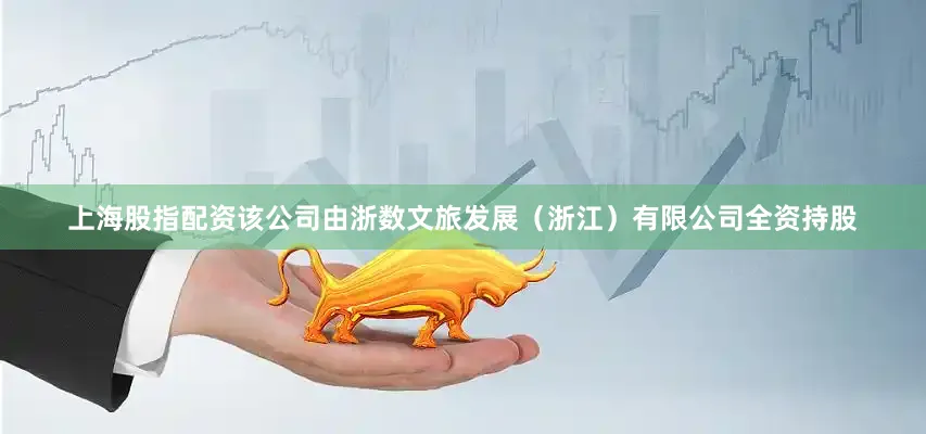 上海股指配资该公司由浙数文旅发展（浙江）有限公司全资持股