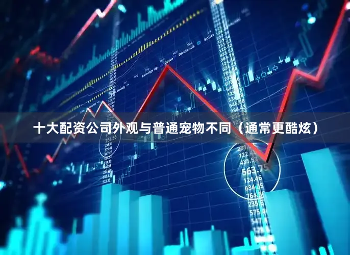 十大配资公司外观与普通宠物不同（通常更酷炫）