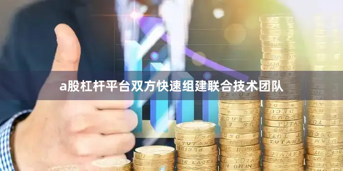 a股杠杆平台双方快速组建联合技术团队