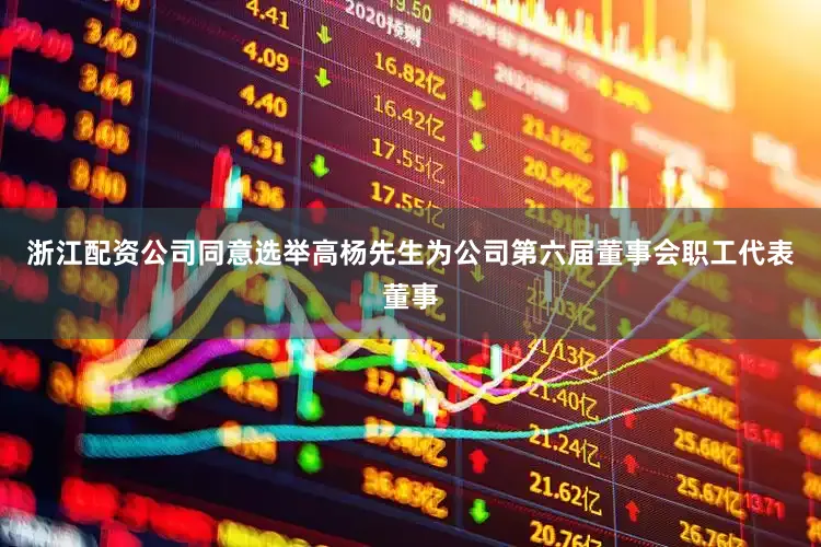 浙江配资公司同意选举高杨先生为公司第六届董事会职工代表董事