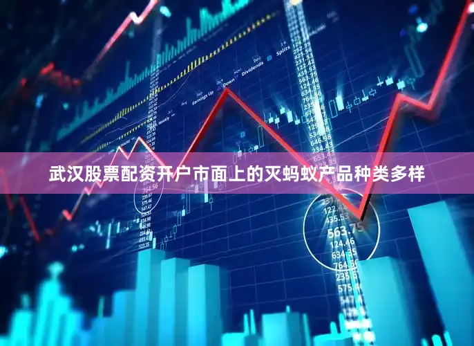 武汉股票配资开户市面上的灭蚂蚁产品种类多样