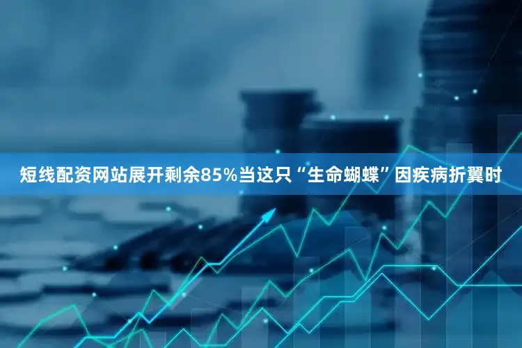 短线配资网站展开剩余85%当这只“生命蝴蝶”因疾病折翼时
