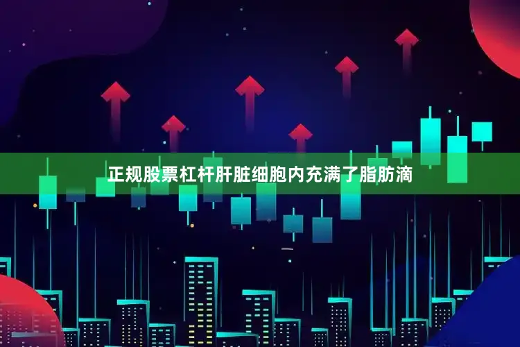 正规股票杠杆肝脏细胞内充满了脂肪滴
