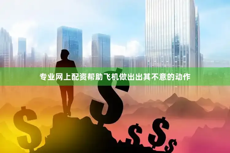 专业网上配资帮助飞机做出出其不意的动作