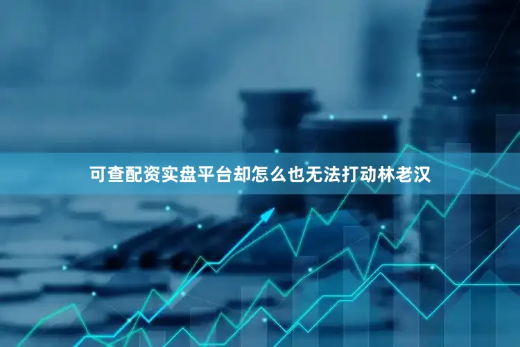 可查配资实盘平台却怎么也无法打动林老汉